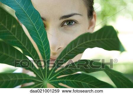 Stock Photo - Woman looking through leaves of manioc branch, close-up. Fotosearch