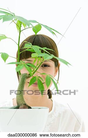 Woman looking through leaves of potted plant, smiling at camera View Large Photo Image Stock Photograph - Woman looking through leaves of potted plant, smiling at camera. Fotosearch
