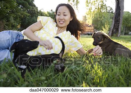 Woman lying in grass playing with two puppies View Large Photo Image Stock Photo - Woman lying in grass playing with two puppies. Fotosearch