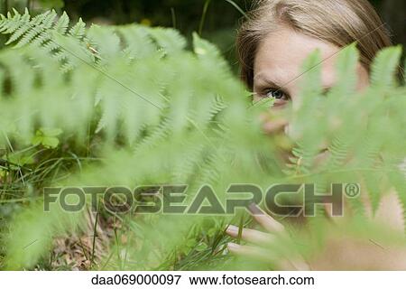 Woman peeking through fern frond, portrait View Large Photo Image Stock Photo - Woman peeking through fern frond, portrait. Fotosearch