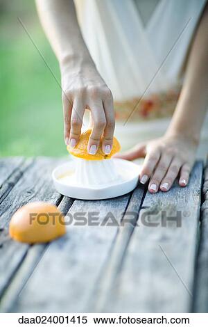 Woman pressing orange with citrus press, close-up, cropped view of hands View Large Photo Image Stock Photography - Woman pressing orange with citrus press, close-up, cropped view of hands. Fotosearch
