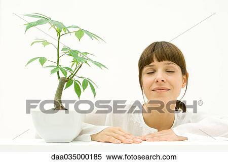 Woman relaxing next to potted plant View Large Photo Image Stock Photography - Woman relaxing next to potted plant. Fotosearch