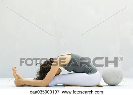 Woman seated, bending forward to touch forehead to knees, fitness ball behind View Large Photo Image Stock Photo - Woman seated, bending forward to touch forehead to knees, fitness ball behind. Fotosearch