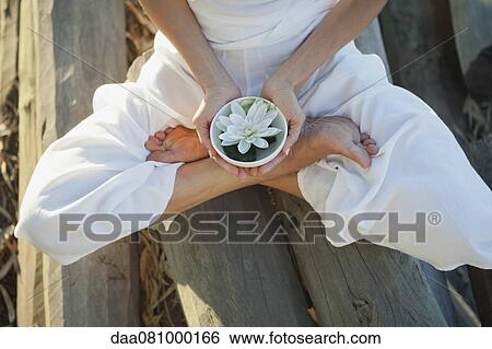 Woman sitting in lotus position, holding water lily in bowl View Large Photo Image Stock Photograph - Woman sitting in lotus position, holding water lily in bowl. Fotosearch