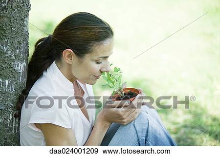 Woman sitting outdoors, smelling pot of herbs View Large Photo Image Stock Photo - Woman sitting outdoors, smelling pot of herbs. Fotosearch