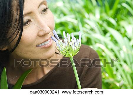 Woman smelling African lily, smiling, looking away View Large Photo Image Stock Image - Woman smelling African lily, smiling, looking away. Fotosearch