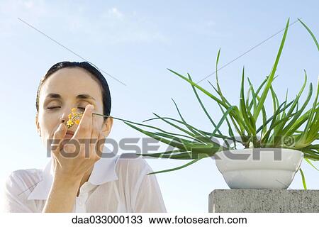 Woman smelling flower from potted plant, low angle view View Large Photo Image Stock Image - Woman smelling flower from potted plant, low angle view. Fotosearch