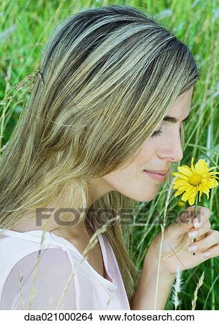 Woman smelling flower View Large Photo Image Picture - Woman smelling flower. Fotosearch