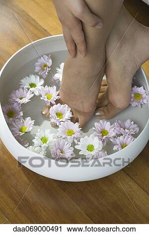 Stock Image - Woman soaking feet in bowl filled with water and flowers. Fotosearch