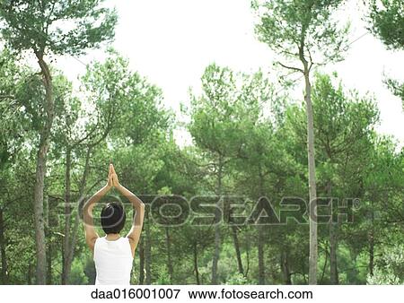 Woman standing in sun salutation, facing trees View Large Photo Image Stock Photo - Woman standing in sun salutation, facing trees. Fotosearch