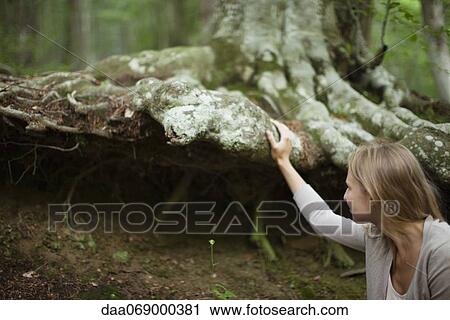Stock Image - Woman touching large tree roots. Fotosearch