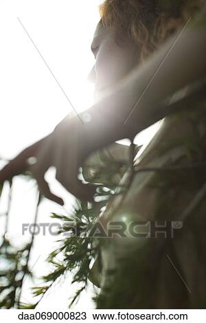 Woman touching tree branch, silhouetted by sun View Large Photo Image Stock Image - Woman touching tree branch, silhouetted by sun. Fotosearch