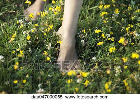 Woman walking barefoot in field of wildflowers, cropped View Large Photo Image Stock Photography - Woman walking barefoot in field of wildflowers, cropped. Fotosearch