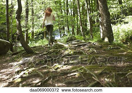 Stock Image - Woman walking in woods, rear view. Fotosearch
