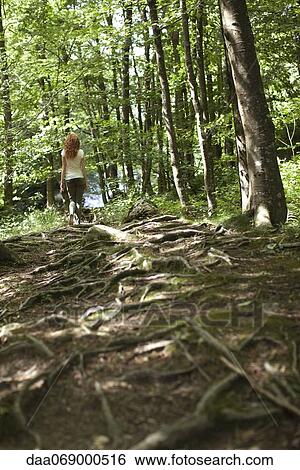 Woman walking in woods View Large Photo Image Stock Photograph - Woman walking in woods. Fotosearch