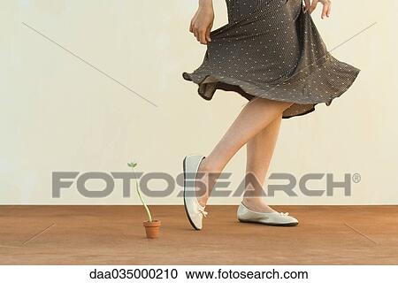 Woman walking past tiny potted plant, holding skirt, cropped view View Large Photo Image Stock Image - Woman walking past tiny potted plant, holding skirt, cropped view. Fotosearch