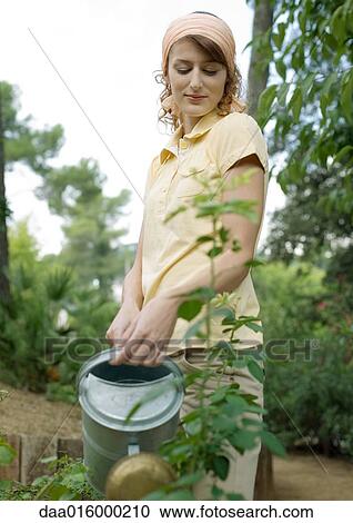 Woman watering plants with watering can View Large Photo Image Stock Image - Woman watering plants with watering can. Fotosearch