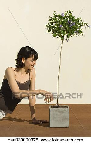 Woman watering potted plant, smiling View Large Photo Image Stock Photography - Woman watering potted plant, smiling. Fotosearch