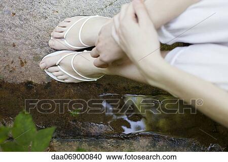 Woman wearing sandals, low section View Large Photo Image Stock Image - Woman wearing sandals, low section. Fotosearch