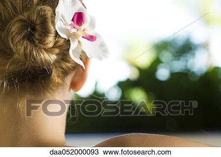 Woman with orchid in her hair, close-up View Large Photo Image Stock Image - Woman with orchid in her hair, close-up. Fotosearch