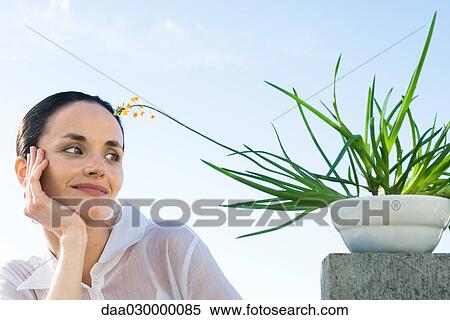 Woman with potted plant, smiling, low angle view View Large Photo Image Stock Photography - Woman with potted plant, smiling, low angle view. Fotosearch