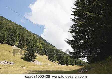 Wooded hillside View Large Photo Image Stock Photography - Wooded hillside. Fotosearch
