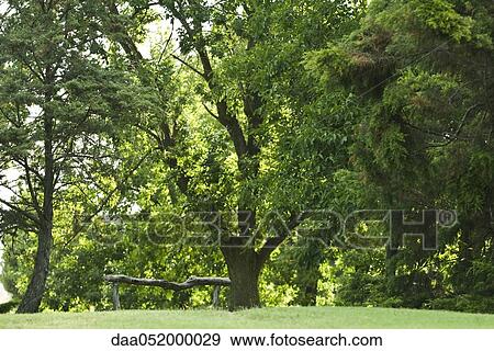 Stock Photo - Wooded park. Fotosearch