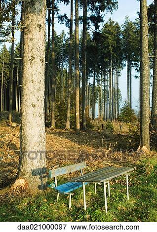 Wooden bench and table outdoors in rural area View Large Photo Image Stock Photo - Wooden bench and table outdoors in rural area. Fotosearch