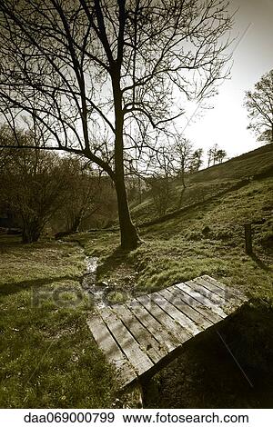 Wooden bridge in woods View Large Photo Image Stock Photo - Wooden bridge in woods. Fotosearch