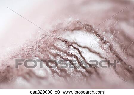 Stock Image - Wool fringe, extreme close-up. Fotosearch