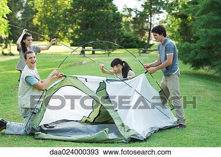 Young campers setting up tent View Large Photo Image Stock Image - Young campers setting up tent. Fotosearch