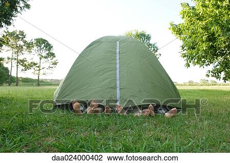 Young friends in tent, feet sticking out View Large Photo Image Stock Image - Young friends in tent, feet sticking out. Fotosearch