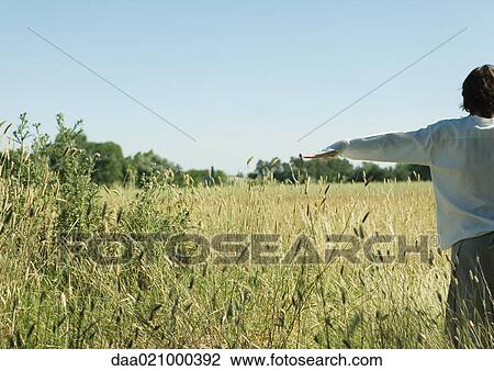 Young male standing in field, arms out, rear view View Large Photo Image Stock Image - Young male standing in field, arms out, rear view. Fotosearch