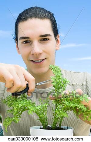 Stock Photo - Young man pruning potted plant, smiling at camera. Fotosearch