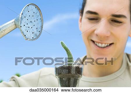 Young man watering small potted cactus View Large Photo Image Picture - Young man watering small potted cactus. Fotosearch