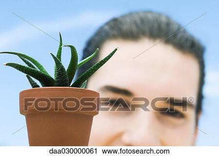 Young man with succulent plant View Large Photo Image Stock Image - Young man with succulent plant. Fotosearch