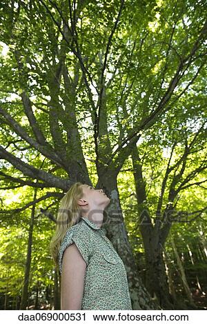 Young woman admiring tall trees View Large Photo Image Stock Image - Young woman admiring tall trees. Fotosearch