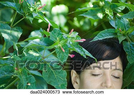 Young woman among flowering plant, eyes closed, cropped view View Large Photo Image Stock Image - Young woman among flowering plant, eyes closed, cropped view. Fotosearch