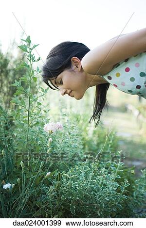 Young woman bending over to smell flowers in garden View Large Photo Image Stock Photo - Young woman bending over to smell flowers in garden. Fotosearch