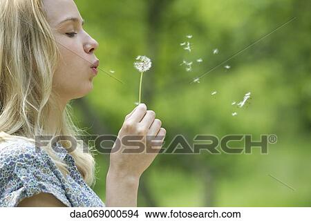 Young woman blowing dandelion flower View Large Photo Image Picture - Young woman blowing dandelion flower. Fotosearch
