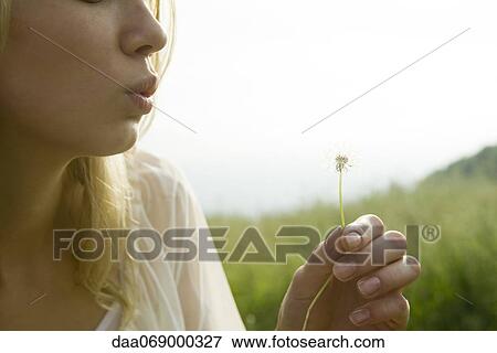 Young woman blowing dandelion seedhead View Large Photo Image Stock Photo - Young woman blowing dandelion seedhead. Fotosearch