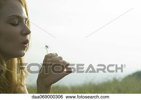 Stock Photograph - Young woman blowing dandelion seedhead. Fotosearch