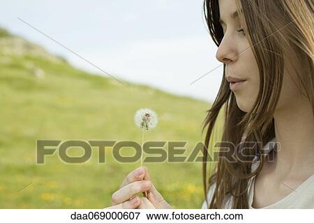 Young woman blowing on dandelion clock View Large Photo Image Stock Photo - Young woman blowing on dandelion clock. Fotosearch