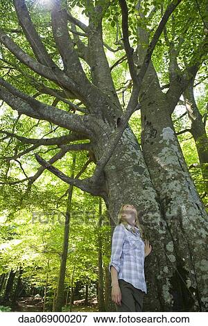 Young woman contemplating tall trees View Large Photo Image Stock Photo - Young woman contemplating tall trees. Fotosearch