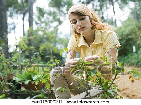 Stock Image - Young woman gardening. Fotosearch