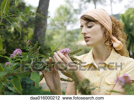 Young woman gardening View Large Photo Image Stock Image - Young woman gardening. Fotosearch