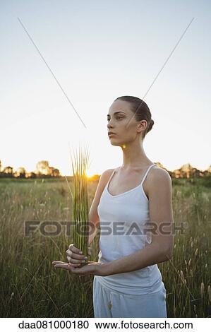 Young woman holding bundle of grass in field View Large Photo Image Stock Image - Young woman holding bundle of grass in field. Fotosearch