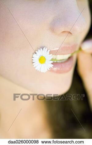 Young woman holding flower in mouth, cropped view View Large Photo Image Stock Photo - Young woman holding flower in mouth, cropped view. Fotosearch