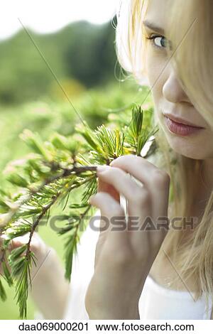 Young woman holding pine needle branch, cropped View Large Photo Image Stock Image - Young woman holding pine needle branch, cropped. Fotosearch