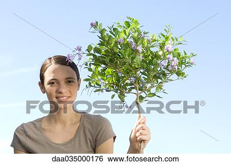 Young woman holding slender trunk of flowering tree, smiling at camera View Large Photo Image Stock Photograph - Young woman holding slender trunk of flowering tree, smiling at camera. Fotosearch